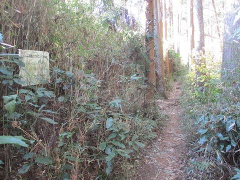 164果樹園へ16