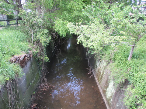 119兵庫橋5