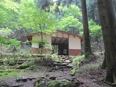215折り返し地点6