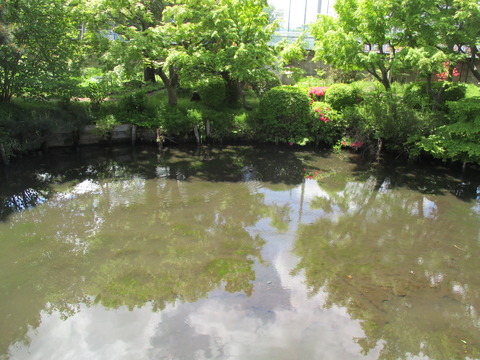 142高源院13