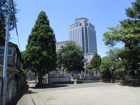 68東北寺9