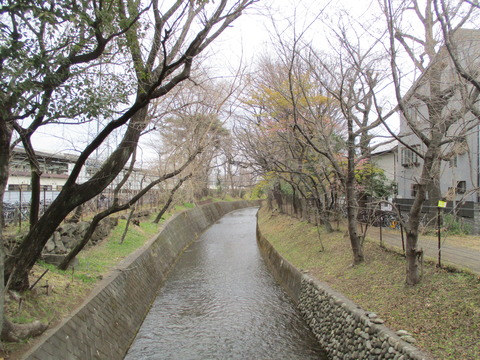48駅東側3