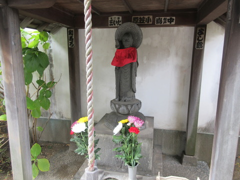 255専念寺3