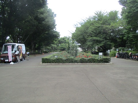 28バラ園1