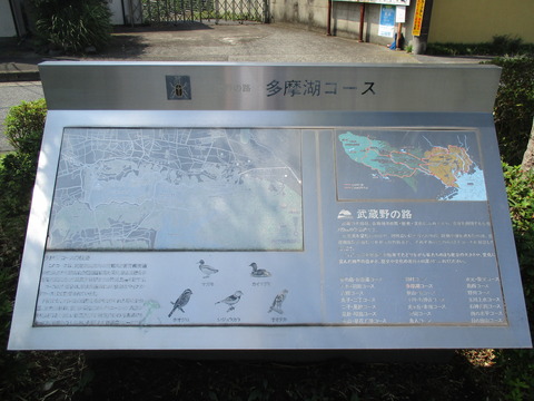 86多摩湖自転車歩行者道6