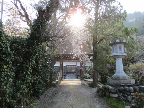 24法善寺8