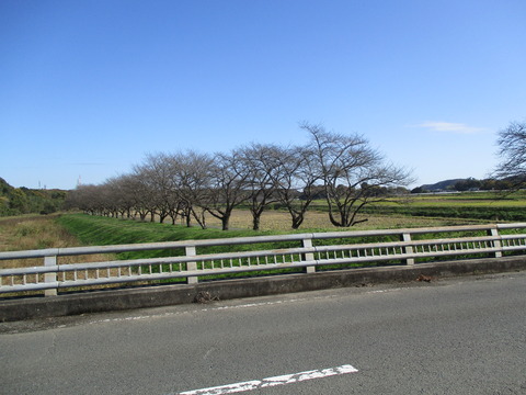 81-2二瀬橋5