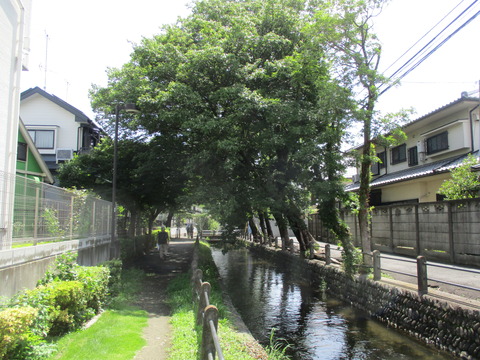 29大丸親水公園6