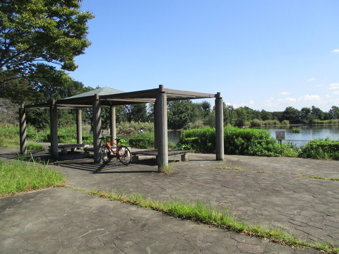 114柴山沼24