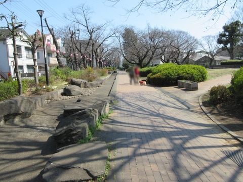 182桜川緑道2