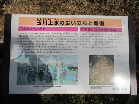 56散歩道１５