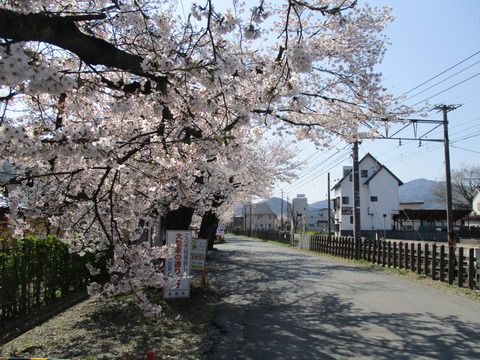 78南桜通り２