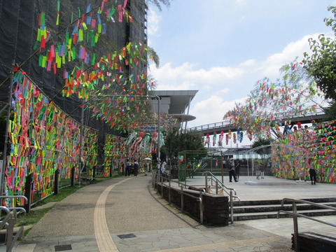 45広場3