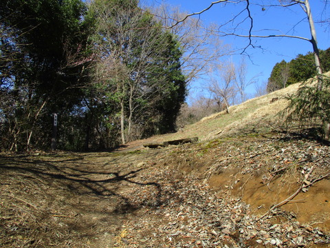 119公園1