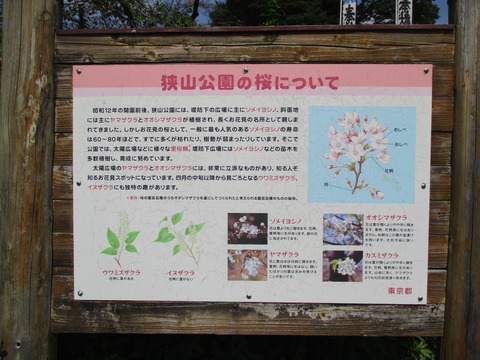 08入口3