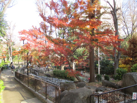 44公園内1