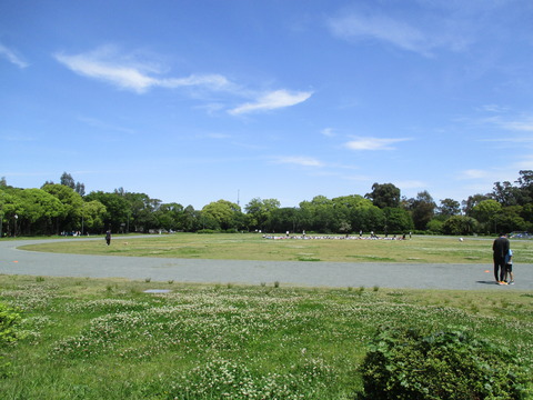 13夢の島公園６