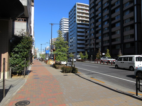 50山手通り