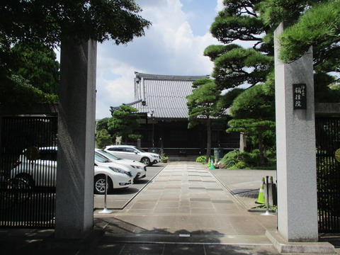 65称往院3