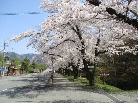 149参道へ2