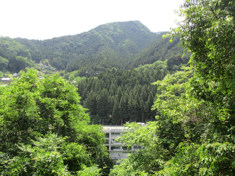 83線路沿い3