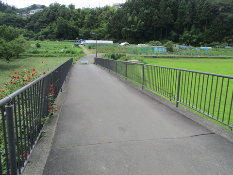 247あゆみ橋3