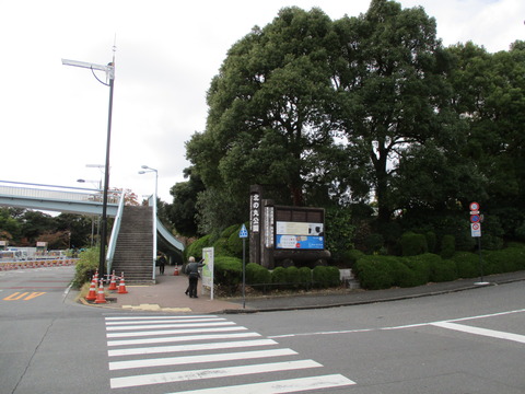 37北の丸公園1