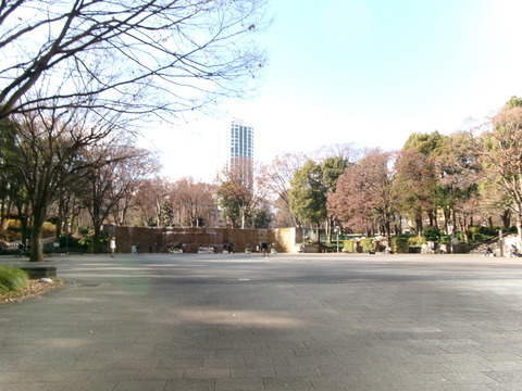 131新宿中央公園１