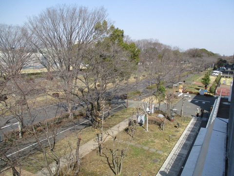 28立川市役所6