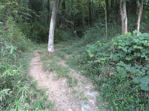 79松山城跡4