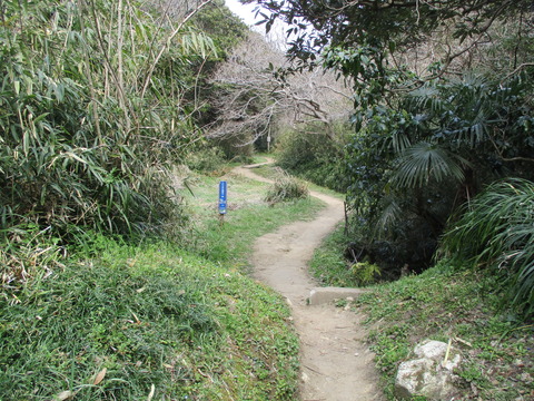 102山道2