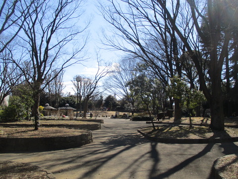 197戸山公園６