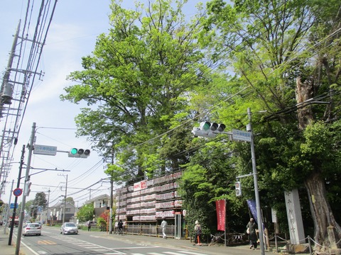 150小平神明宮1