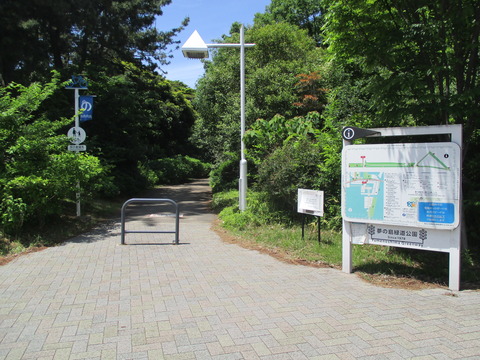 39夢の島緑道公園２