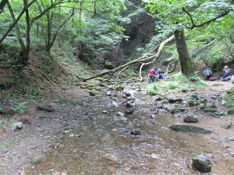 174御岳沢4