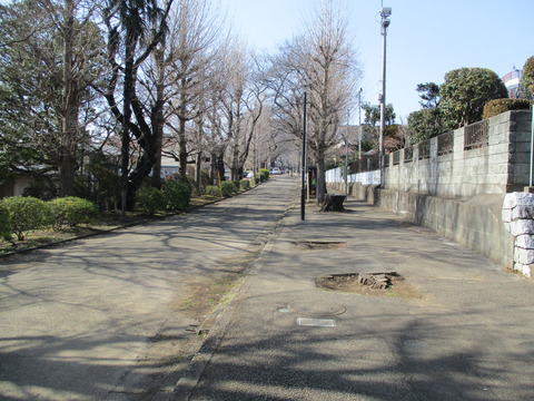 144前の道1