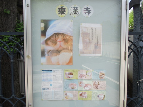 259乗満寺8