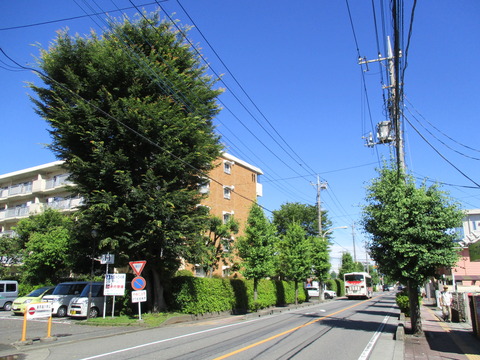 02駅前から住宅地へ