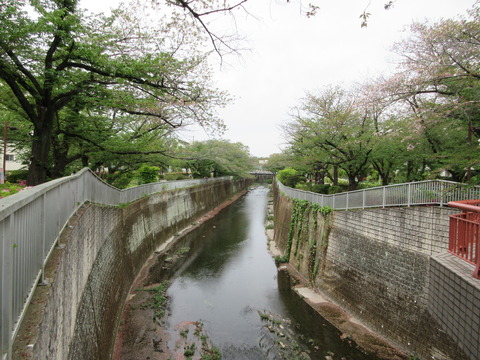 56薬師堂橋２