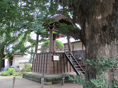 97龍光寺30