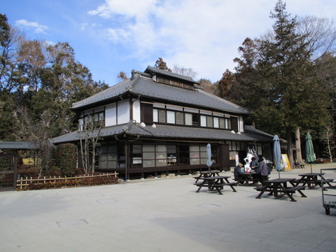 94べに花ふるさと館3