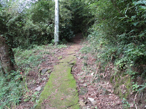 192山道4