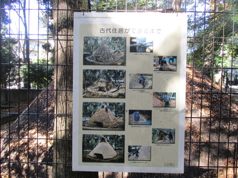 37代々木八幡遺跡2