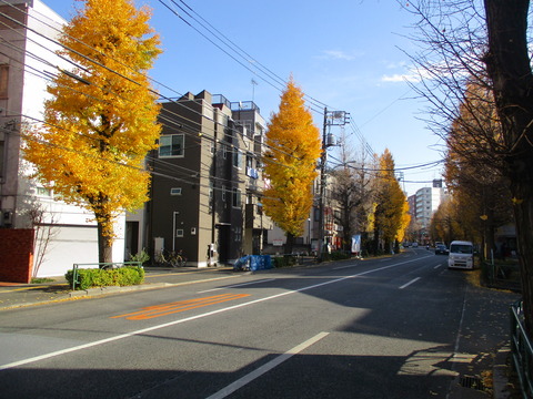 63千川通り