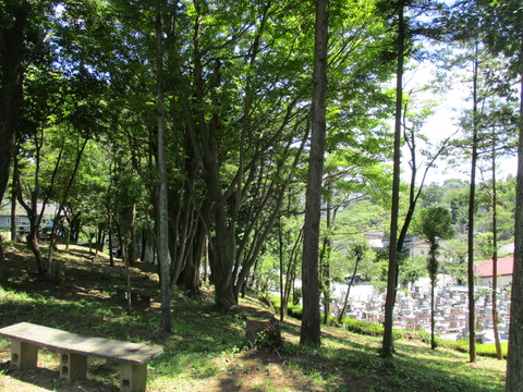 156再び廃線跡4