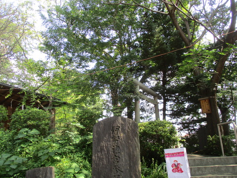34氷川神社25