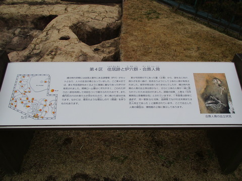145飛ノ台貝塚12