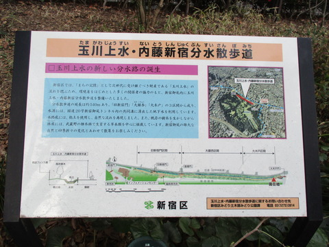 62散歩道21