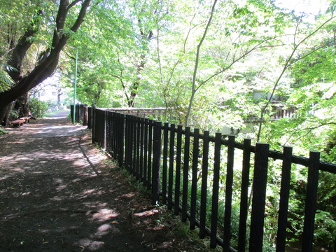 85若草橋1