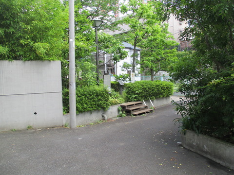 64ビオトープ1